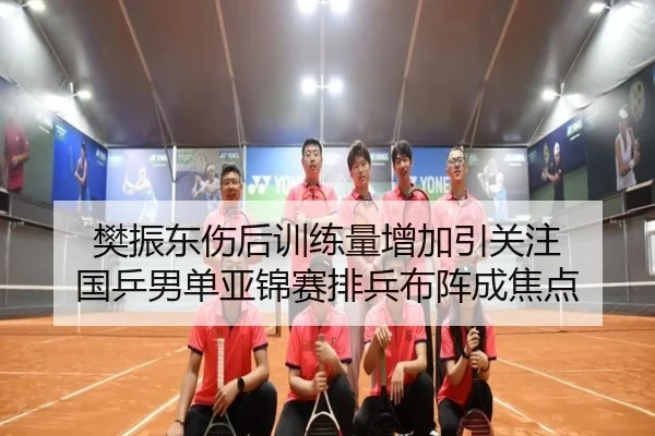 樊振东伤后训练量增加引关注 国乒男单亚锦赛排兵布阵成焦点 | kaiyun.comapp