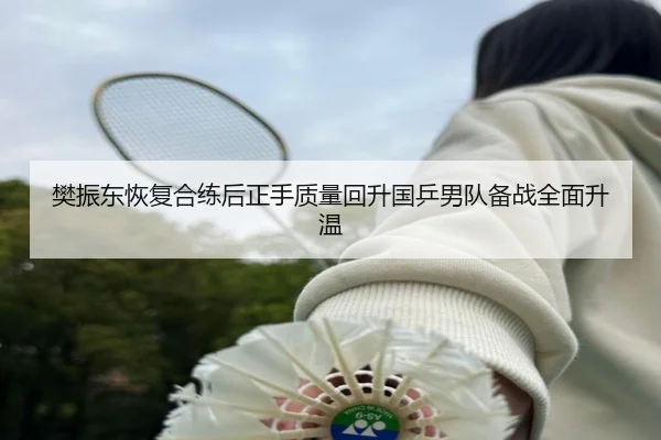 樊振东恢复合练后正手质量回升国乒男队备战全面升温